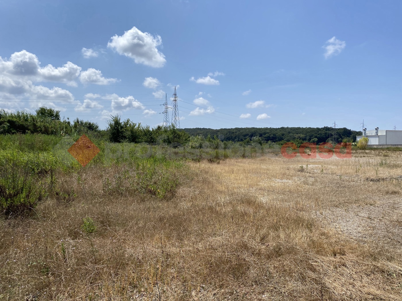Terreno Edificabile in vendita a Collesalvetti