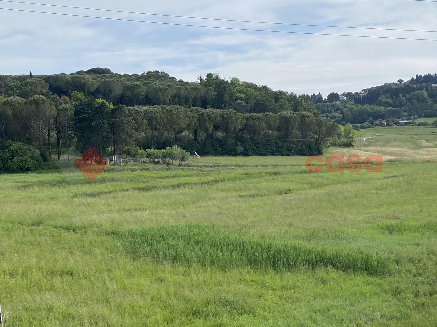 Terreno Agricolo in vendita a Collesalvetti