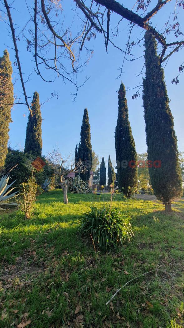 Terreno Agricolo in vendita a Livorno