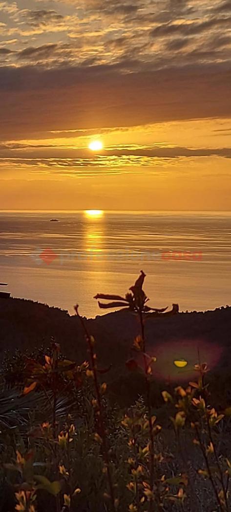 Casa indipendente con giardino a Livorno