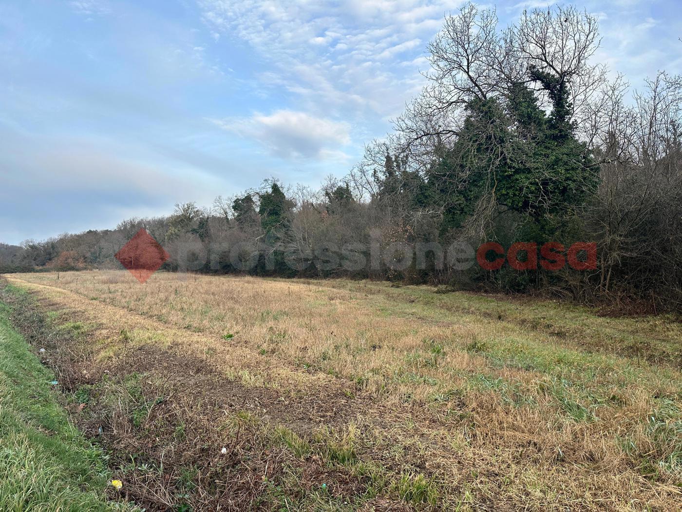 Terreno Agricolo in vendita a Collesalvetti
