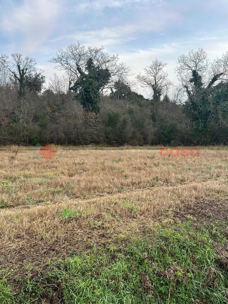 Terreno Agricolo in vendita a Collesalvetti