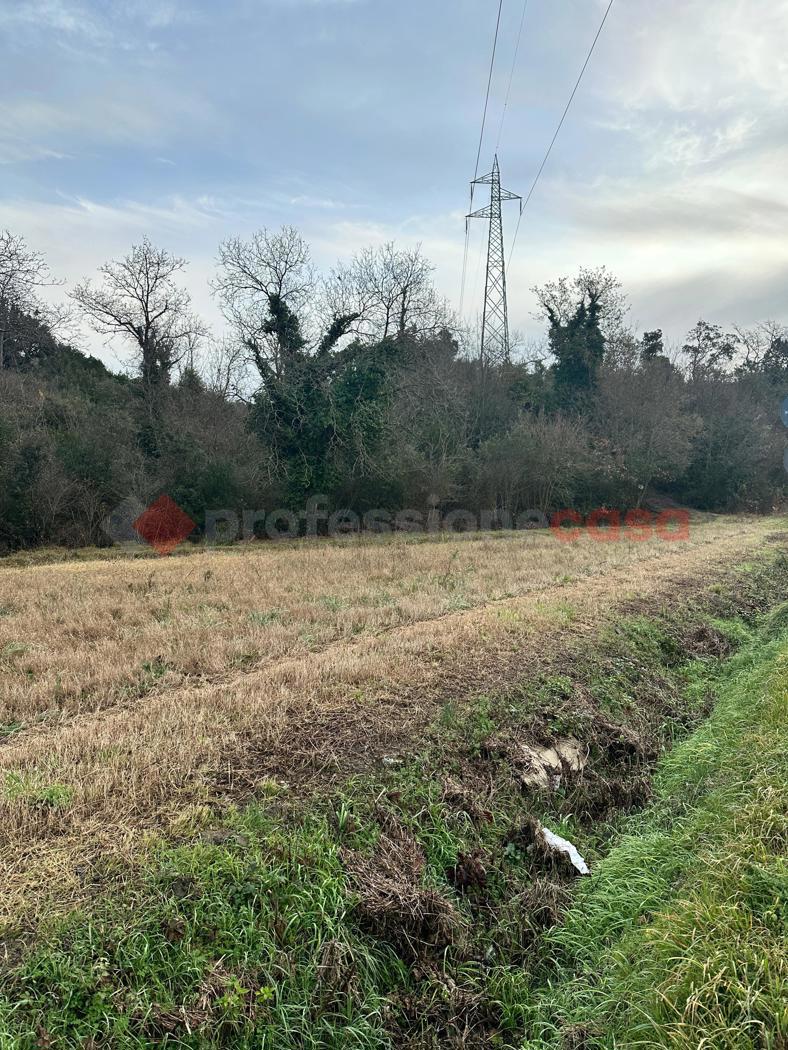 Terreno Agricolo in vendita a Collesalvetti