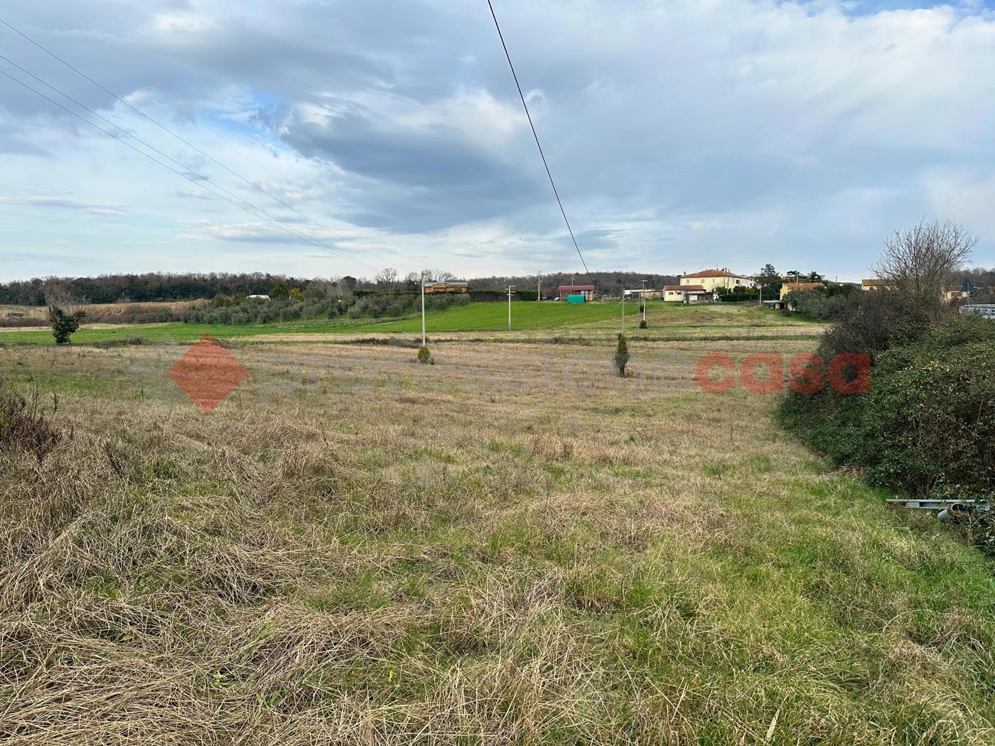 immagine annuncio 6 di 9