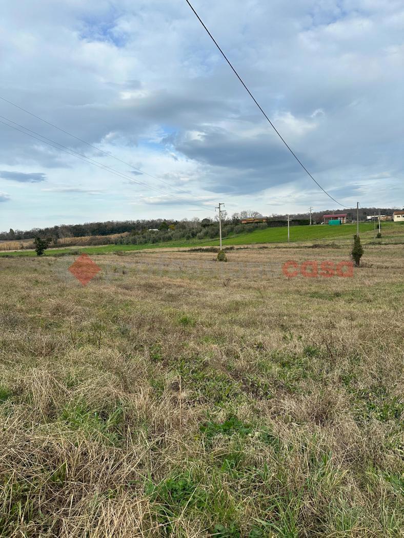 immagine annuncio 8 di 9