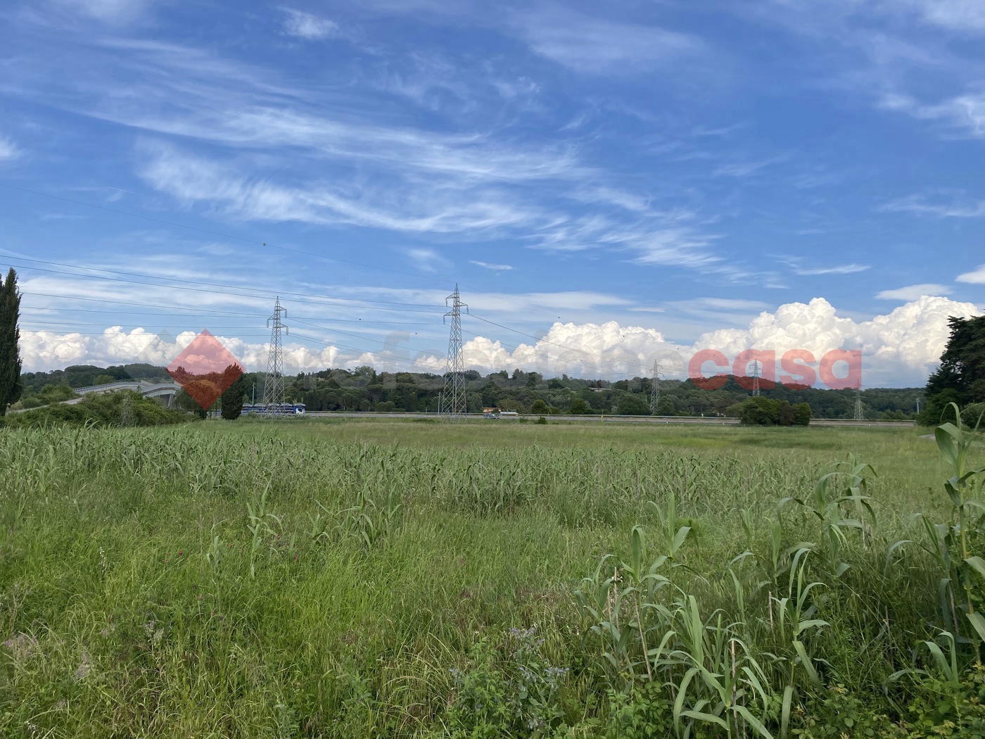 Terreno Agricolo in vendita a Collesalvetti