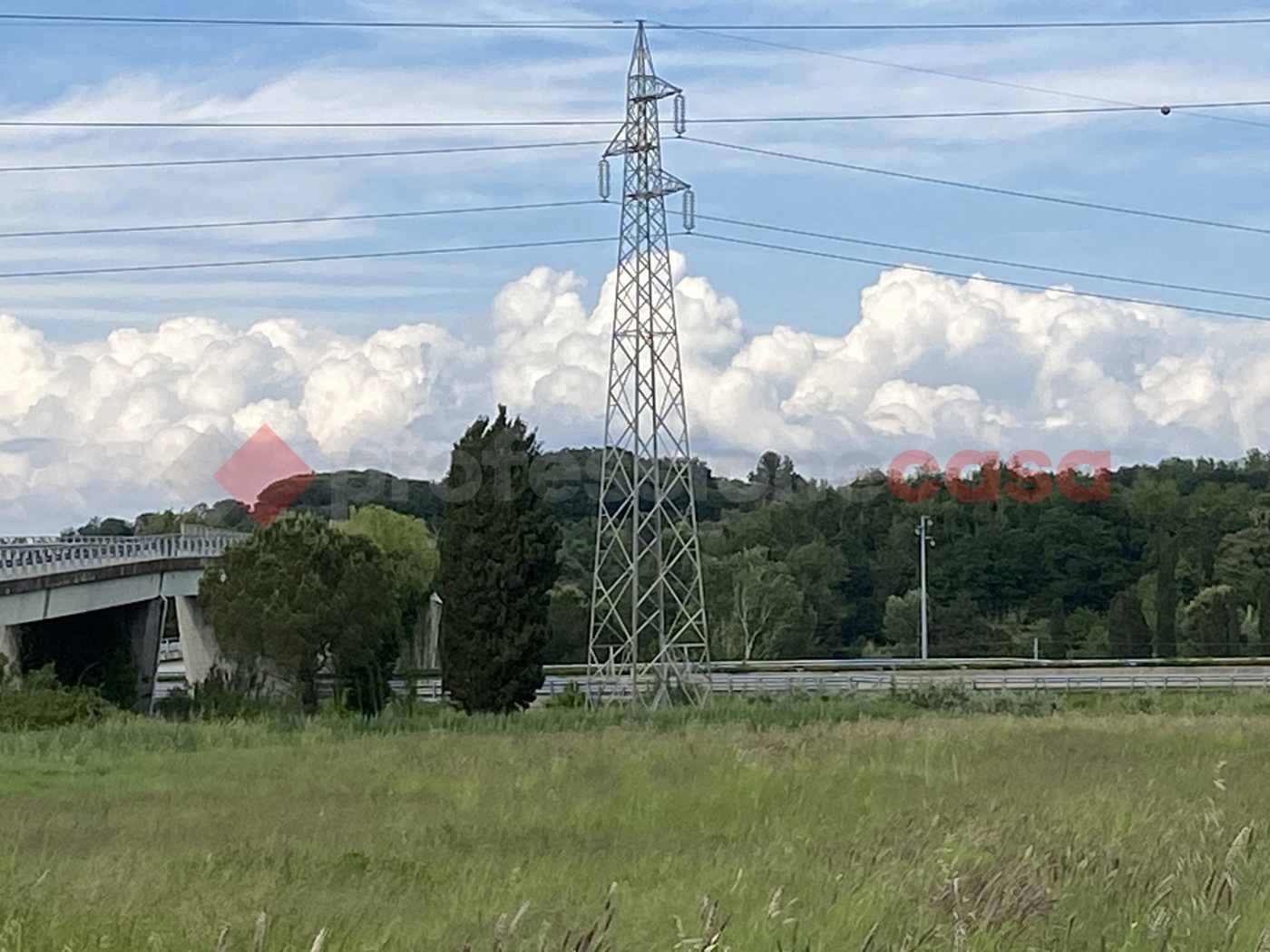 Terreno Agricolo in vendita a Collesalvetti