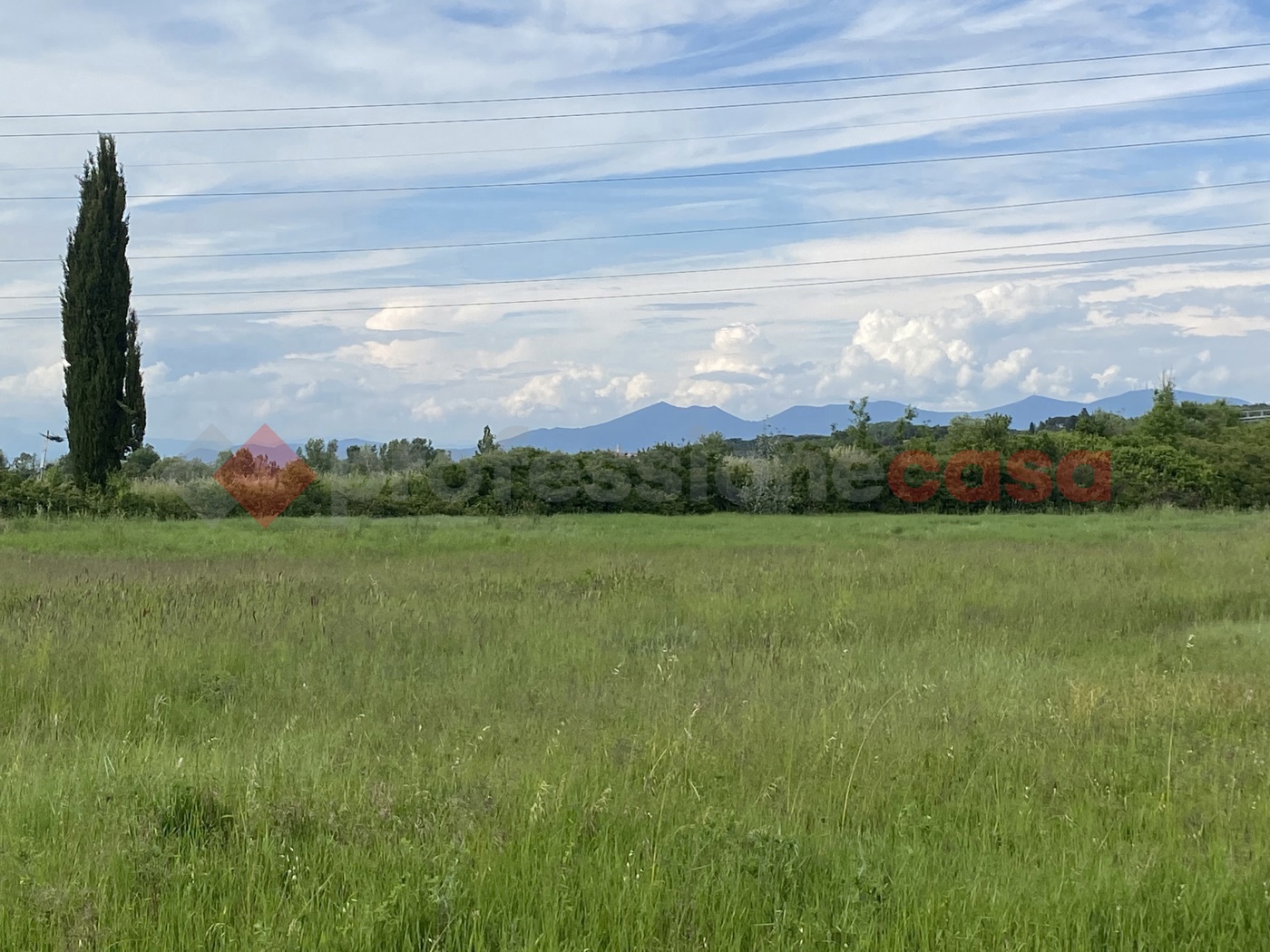 Terreno Agricolo in vendita a Collesalvetti
