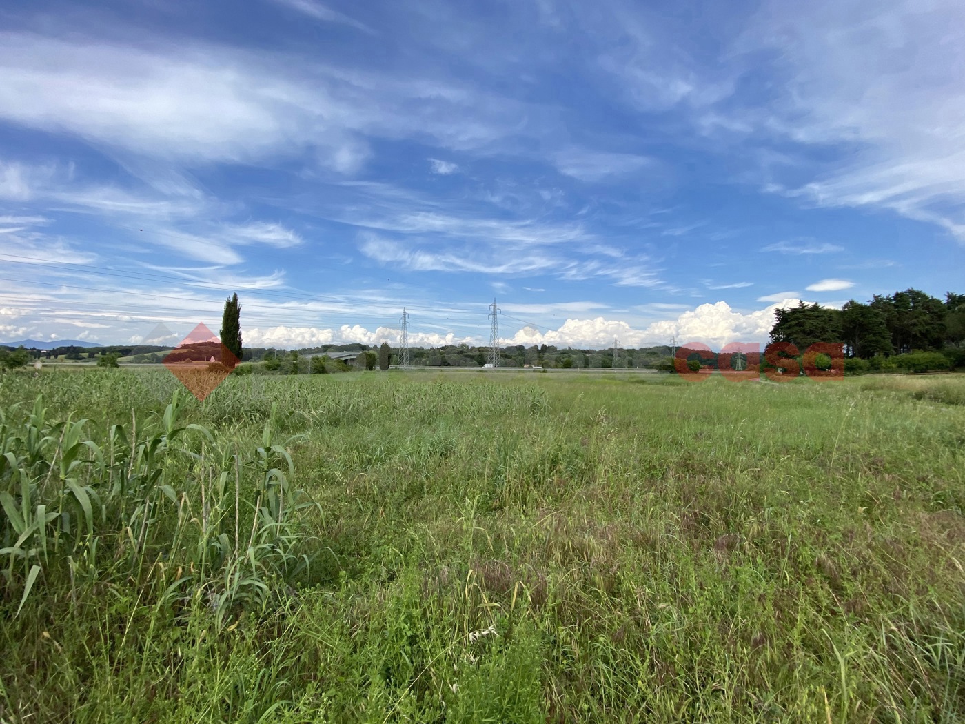 Terreno Agricolo in vendita a Collesalvetti