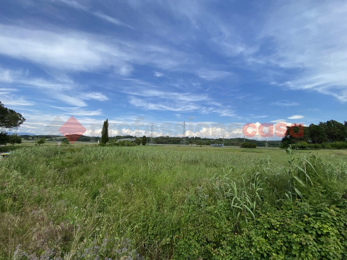 Terreno Agricolo in vendita a Collesalvetti