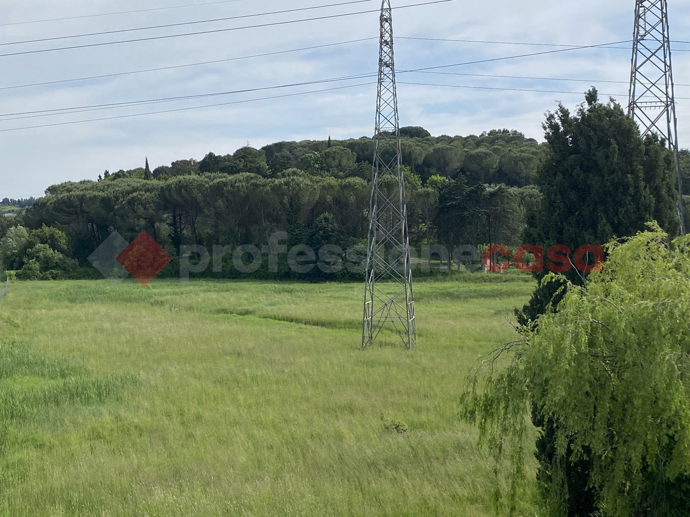 Terreno Agricolo in vendita a Collesalvetti