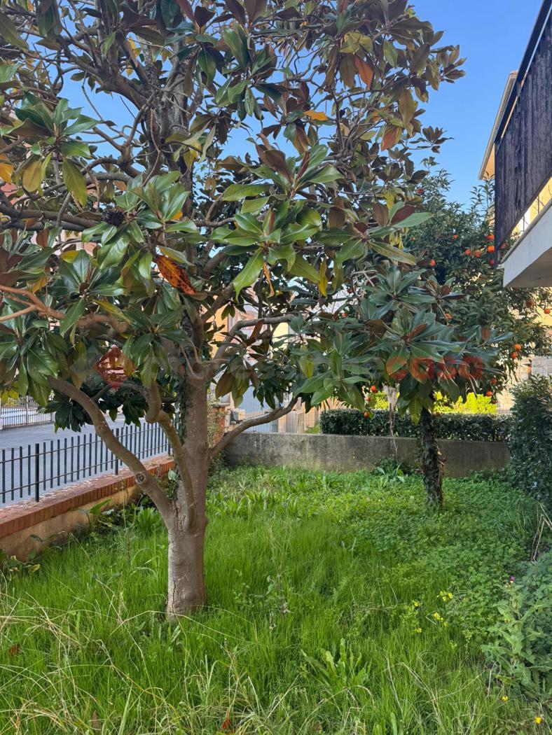 Appartamento con giardino a Collesalvetti