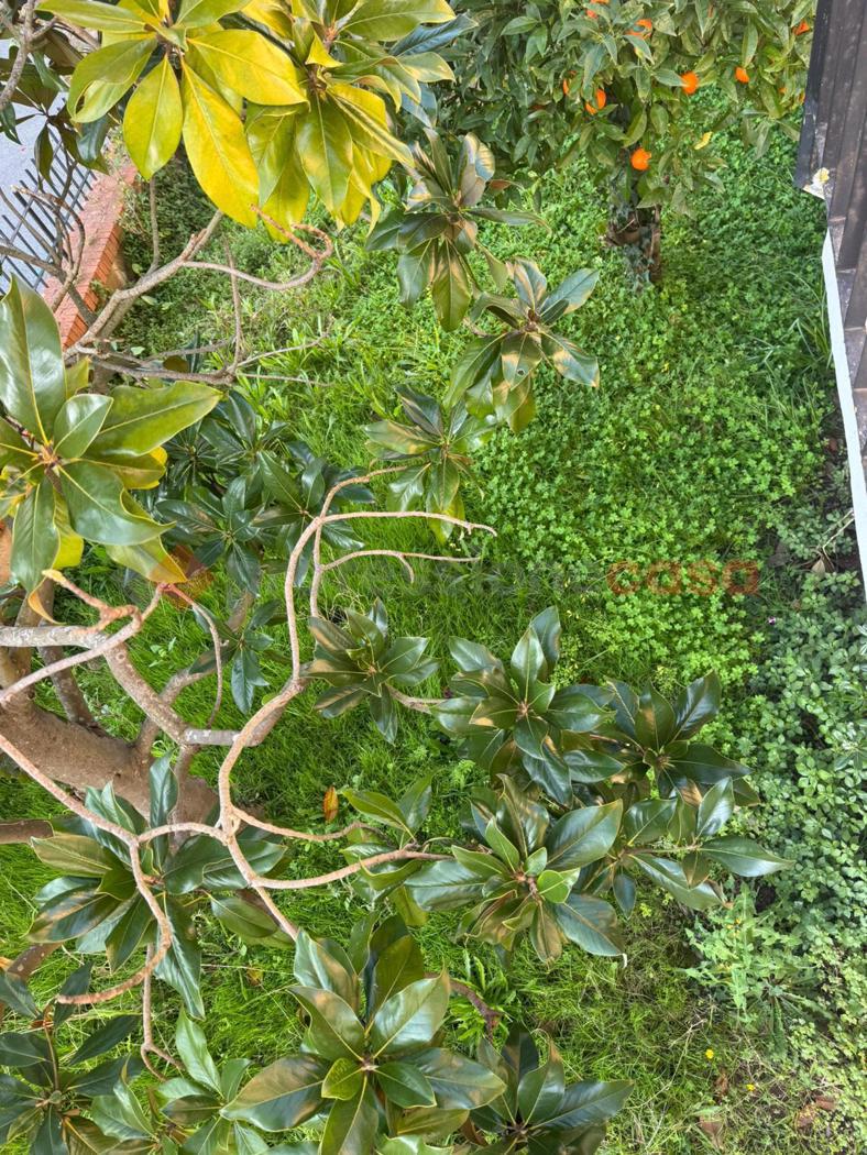 Appartamento con giardino a Collesalvetti