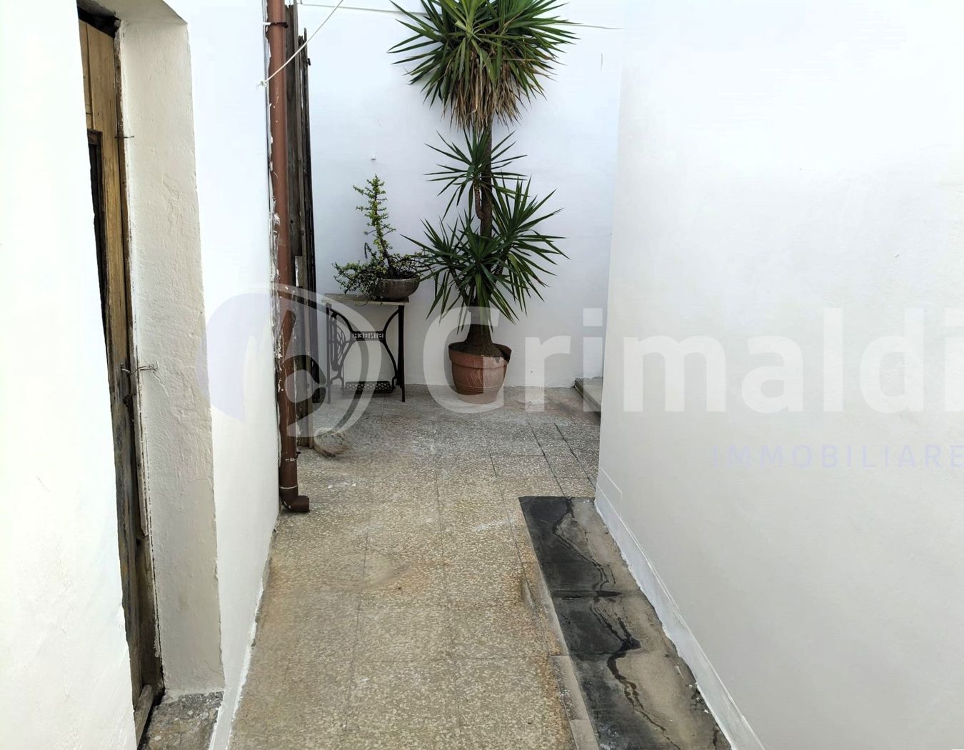 Casa indipendente in affitto a Sannicola