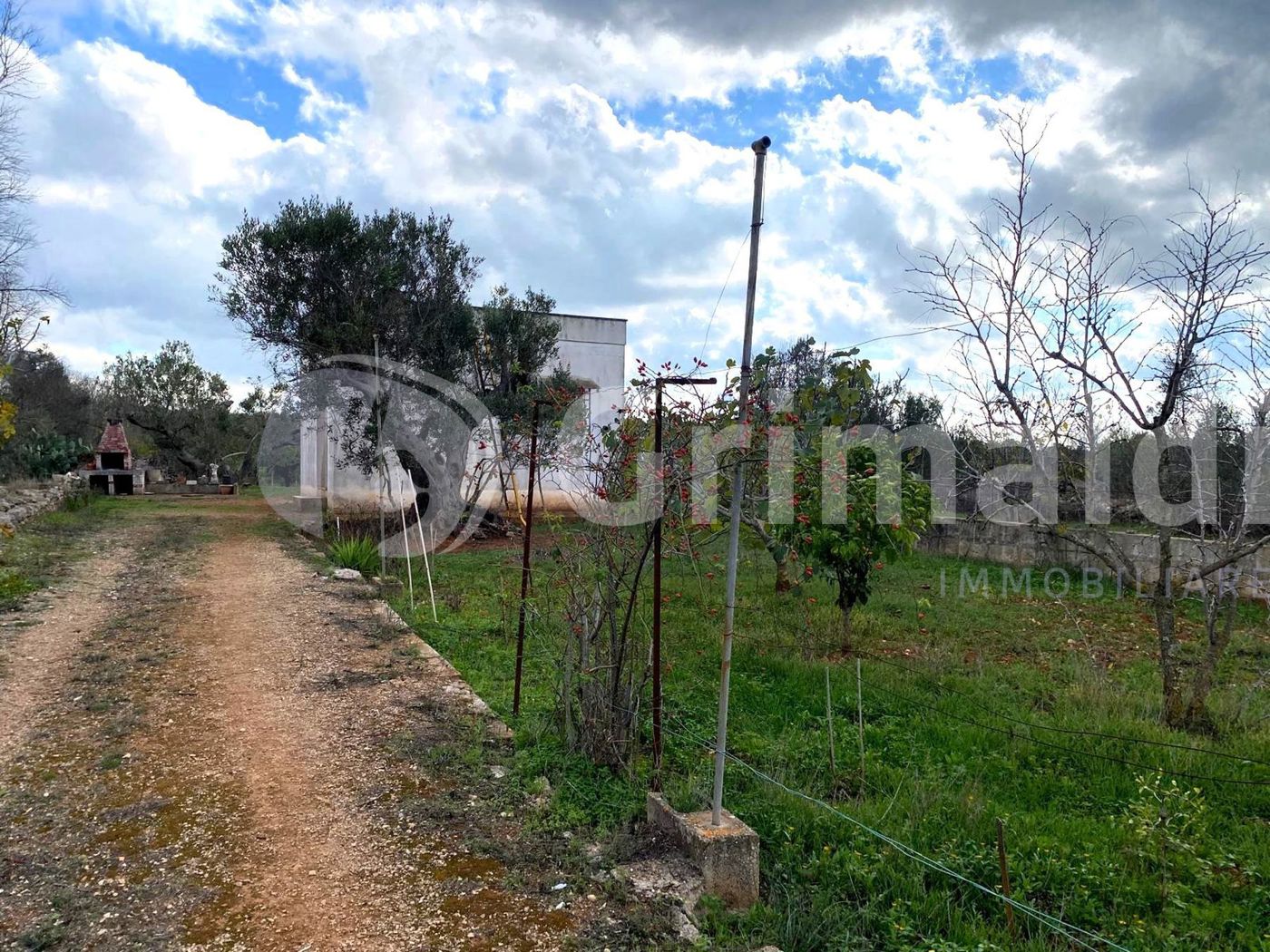 Terreno Agricolo in vendita a Sannicola