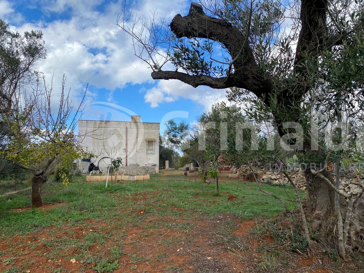 Terreno Agricolo in vendita a Sannicola