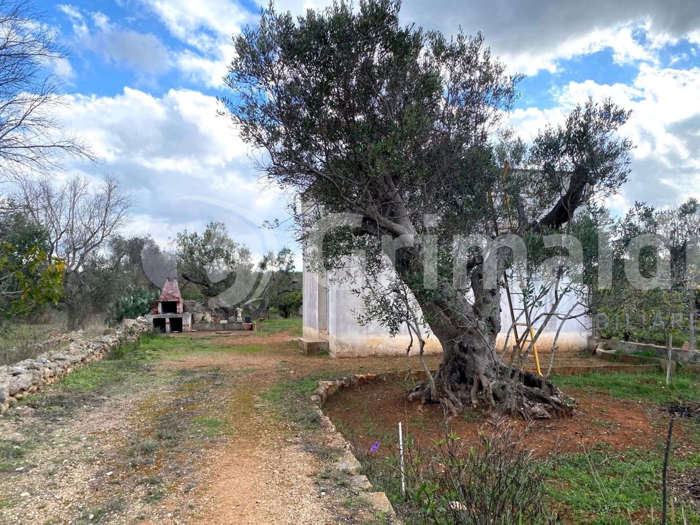 Terreno Agricolo in vendita a Sannicola