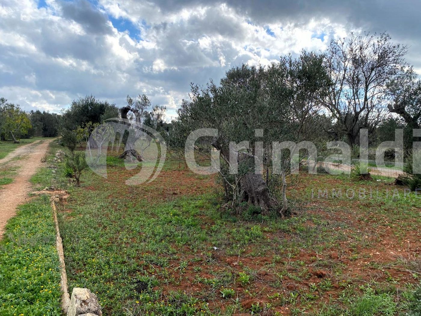 Terreno Agricolo in vendita a Sannicola