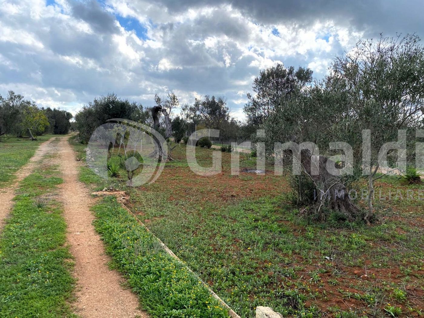 Terreno Agricolo in vendita a Sannicola