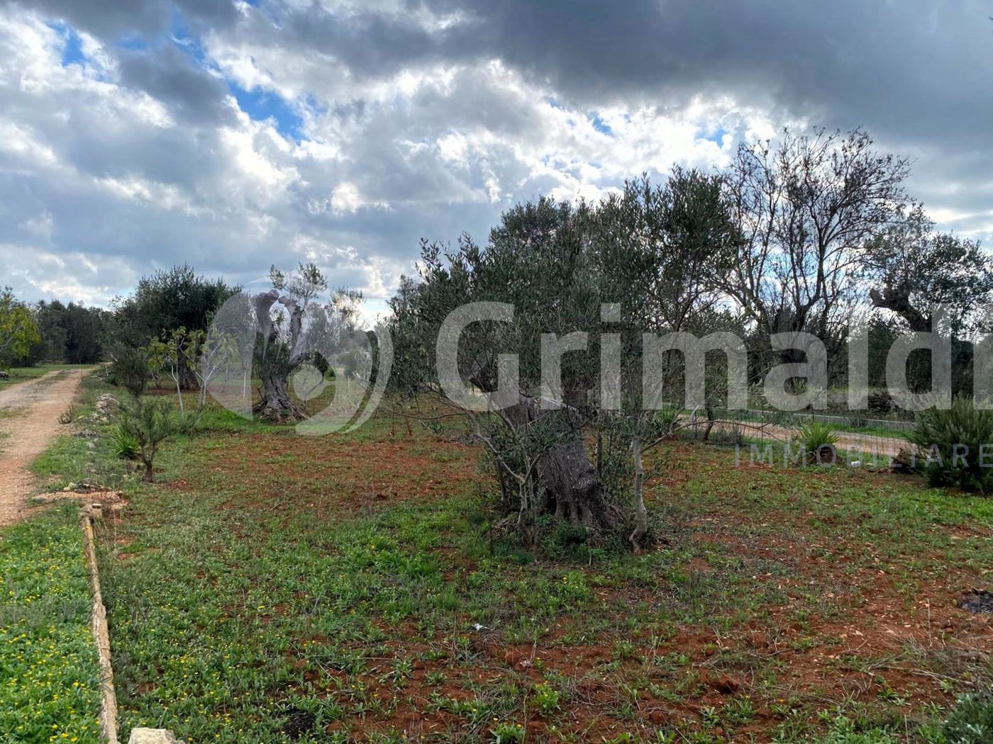 Terreno Agricolo in vendita a Sannicola
