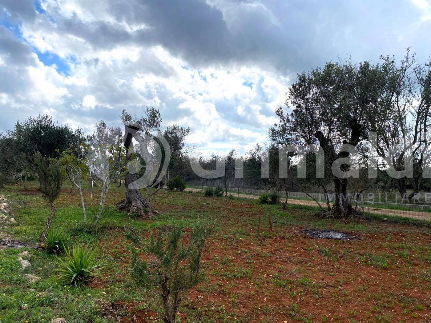 Terreno Agricolo in vendita a Sannicola