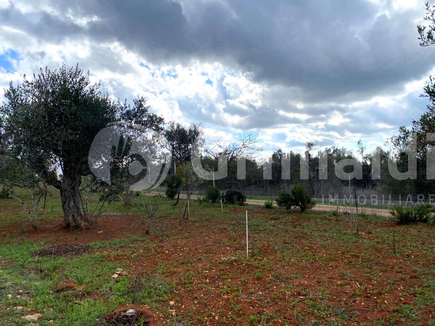 Terreno Agricolo in vendita a Sannicola