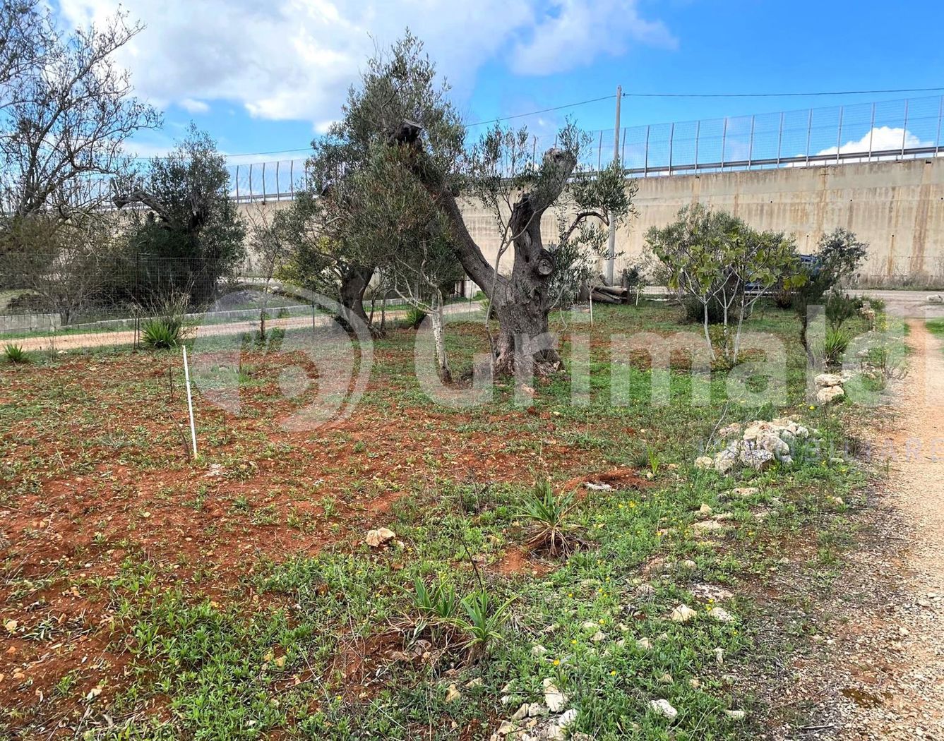 Terreno Agricolo in vendita a Sannicola