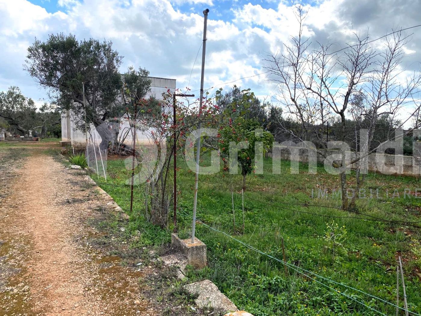 Terreno Agricolo in vendita a Sannicola