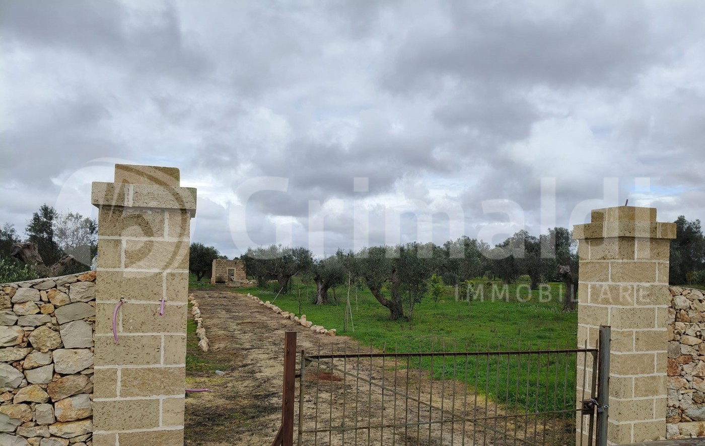 Terreno Agricolo in vendita a Sannicola