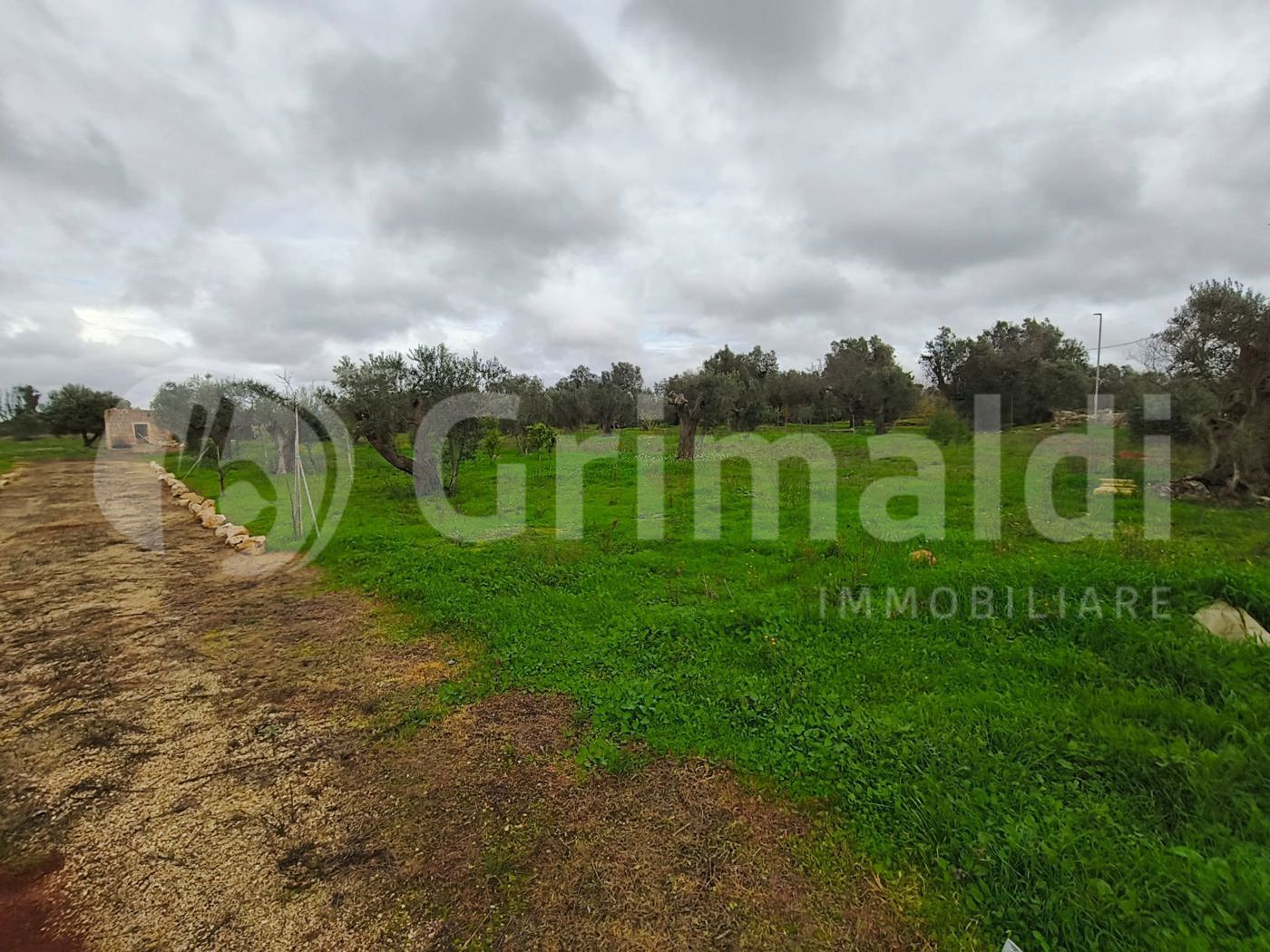 Terreno Agricolo in vendita a Sannicola