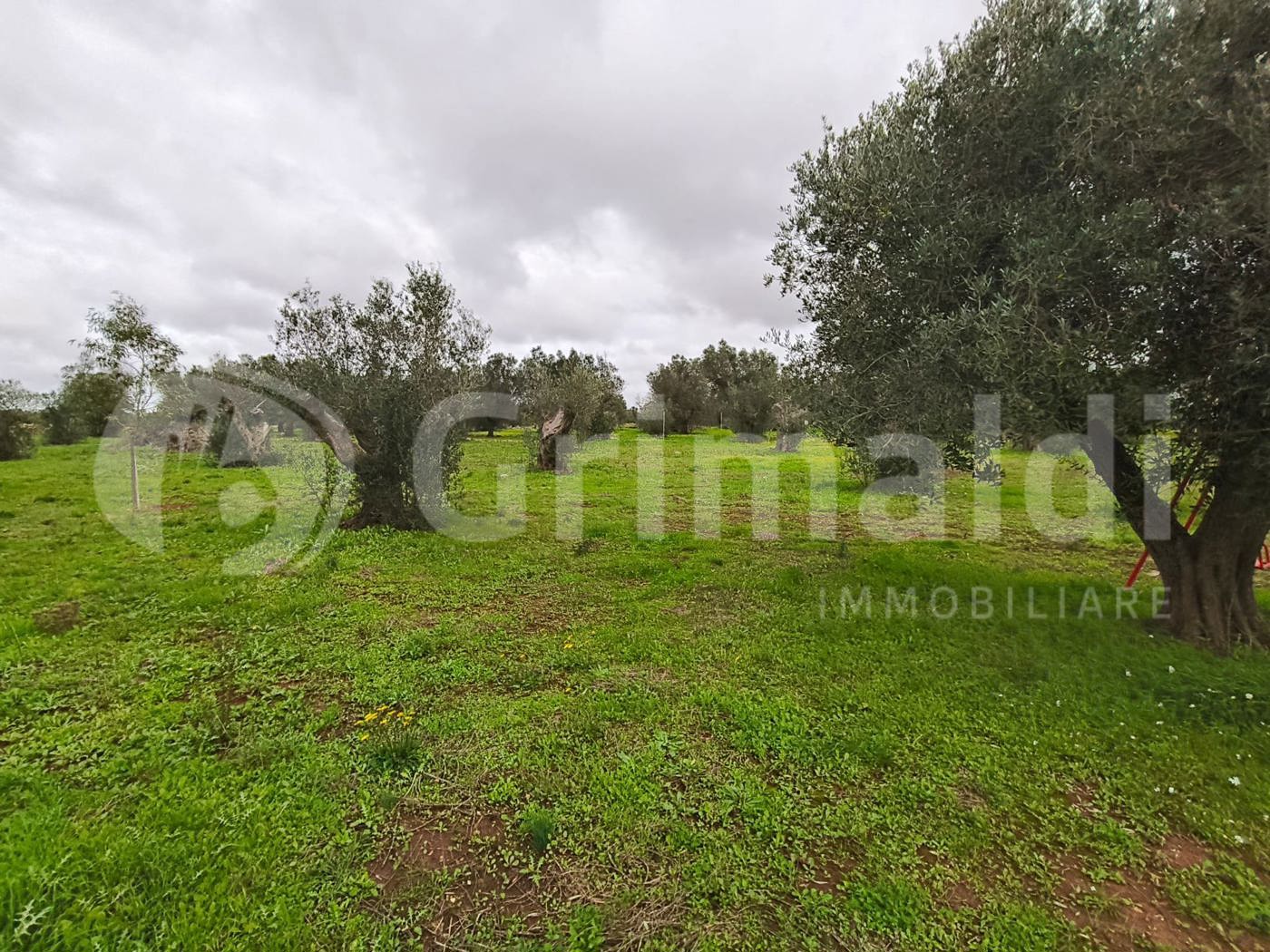 Terreno Agricolo in vendita a Sannicola