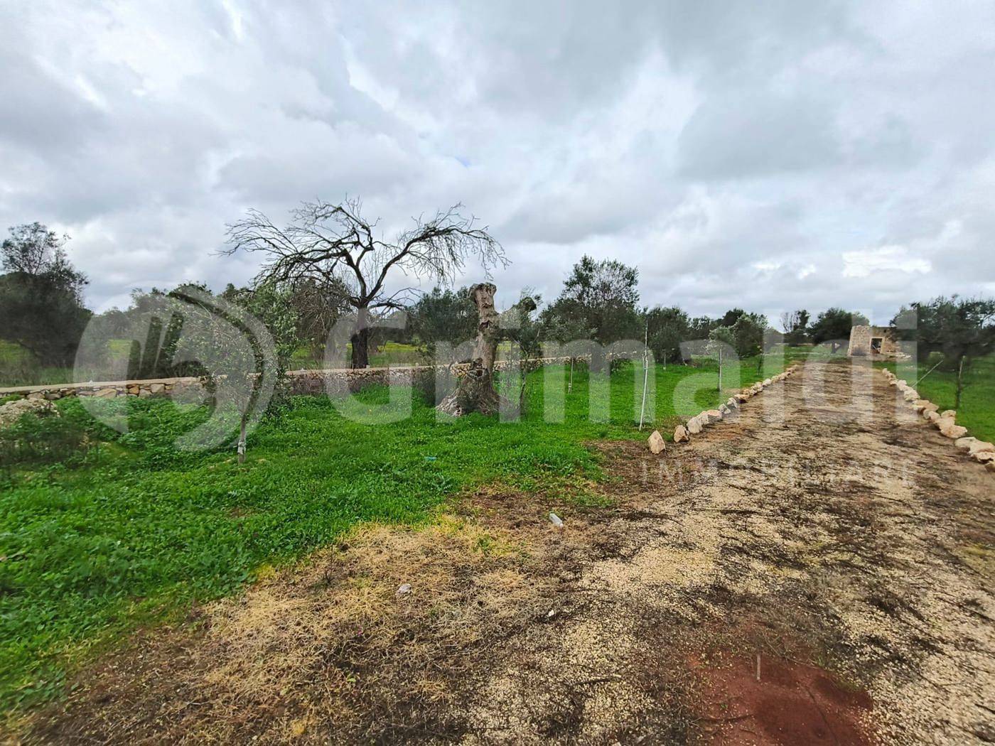 Terreno Agricolo in vendita a Sannicola