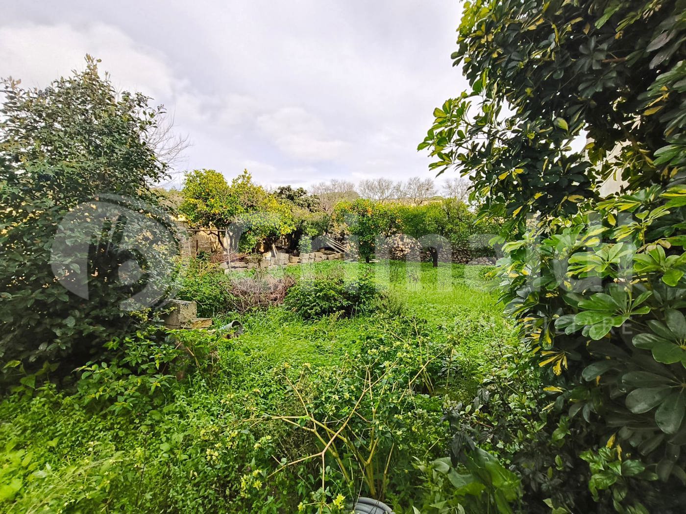 Casa indipendente con giardino a Sannicola