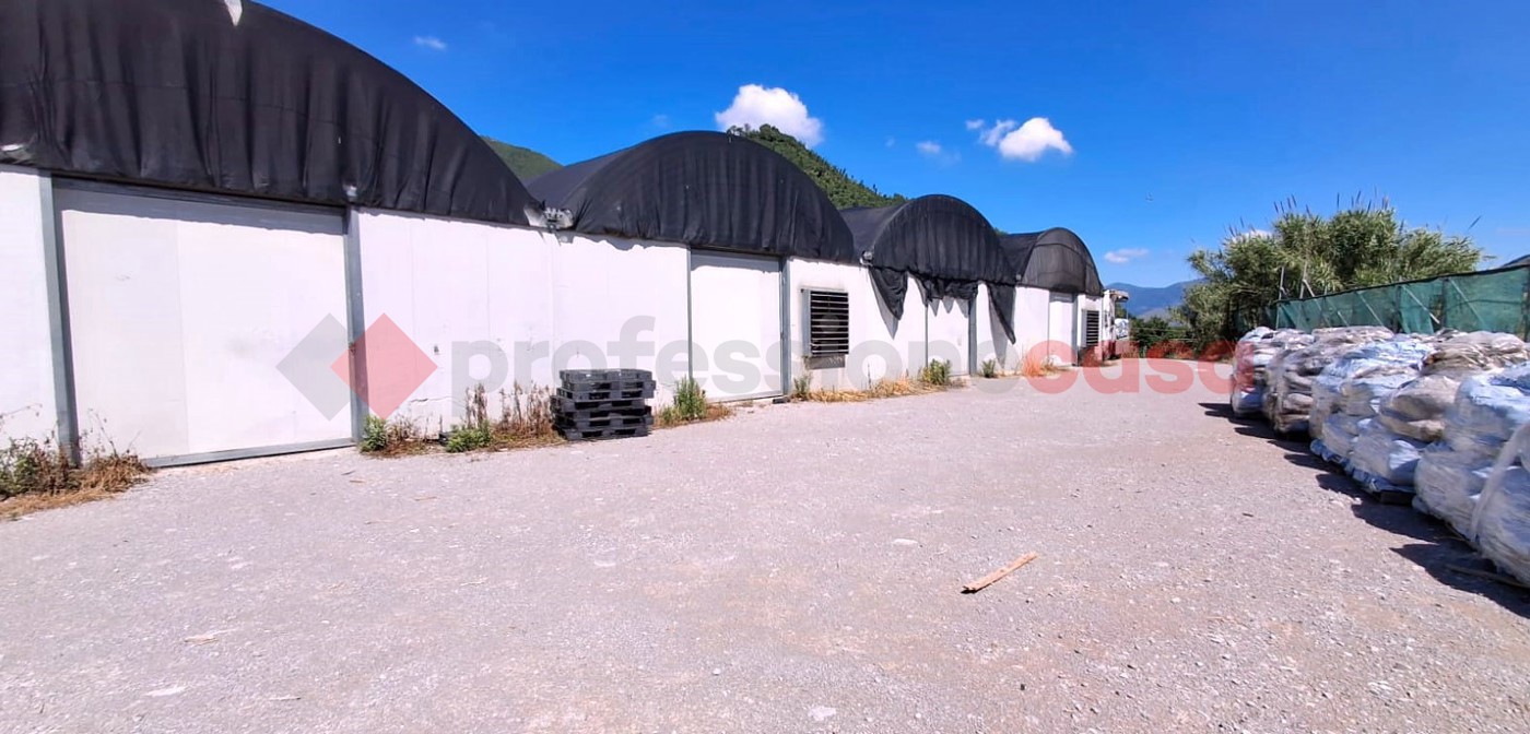 Terreno Agricolo in vendita a Cava de' Tirreni