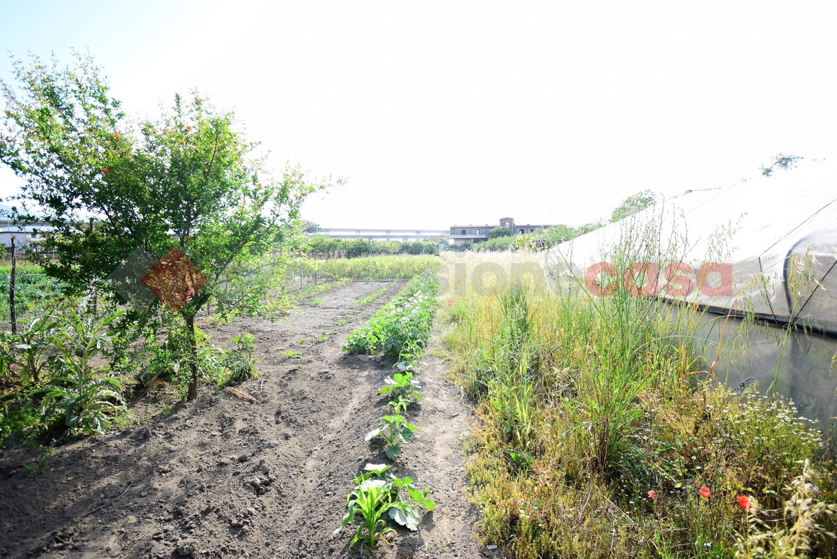 Terreno Agricolo in vendita a Nocera Inferiore