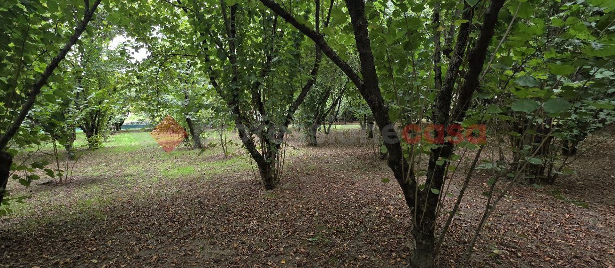 Terreno Agricolo in vendita a Avellino