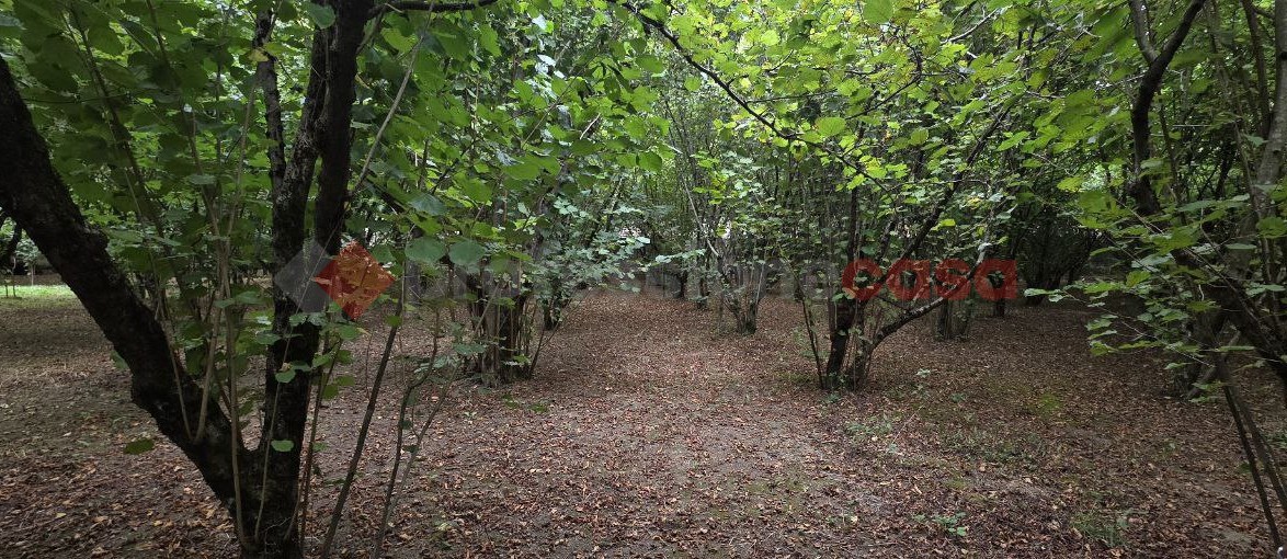Terreno Agricolo in vendita a Avellino