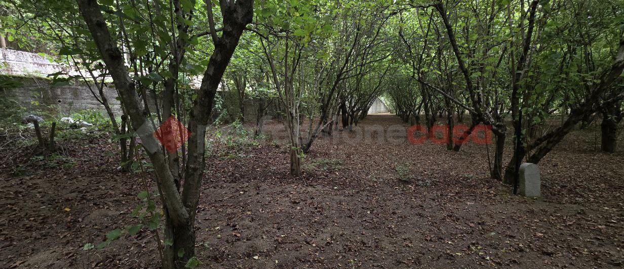 Terreno Agricolo in vendita a Avellino