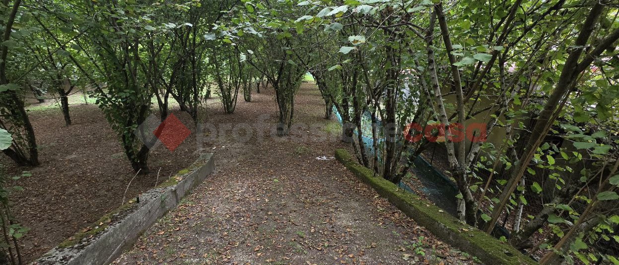Terreno Agricolo in vendita a Avellino