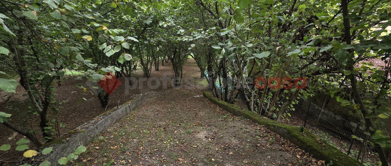 Terreno Agricolo in vendita a Avellino