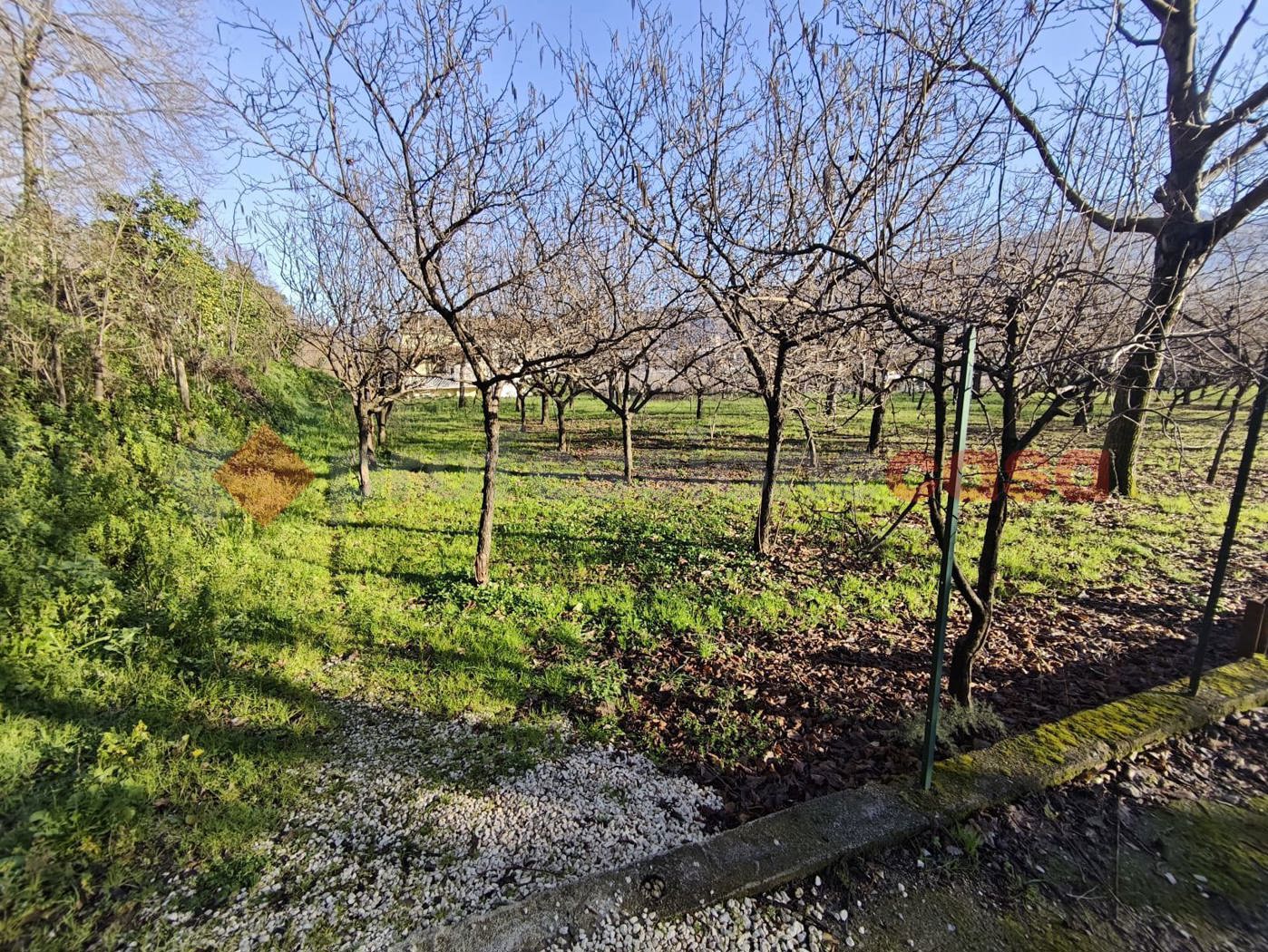 Terreno Agricolo in vendita a Mercato San Severino