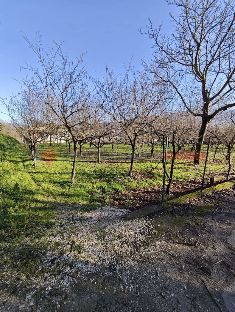 Terreno Agricolo in vendita a Mercato San Severino