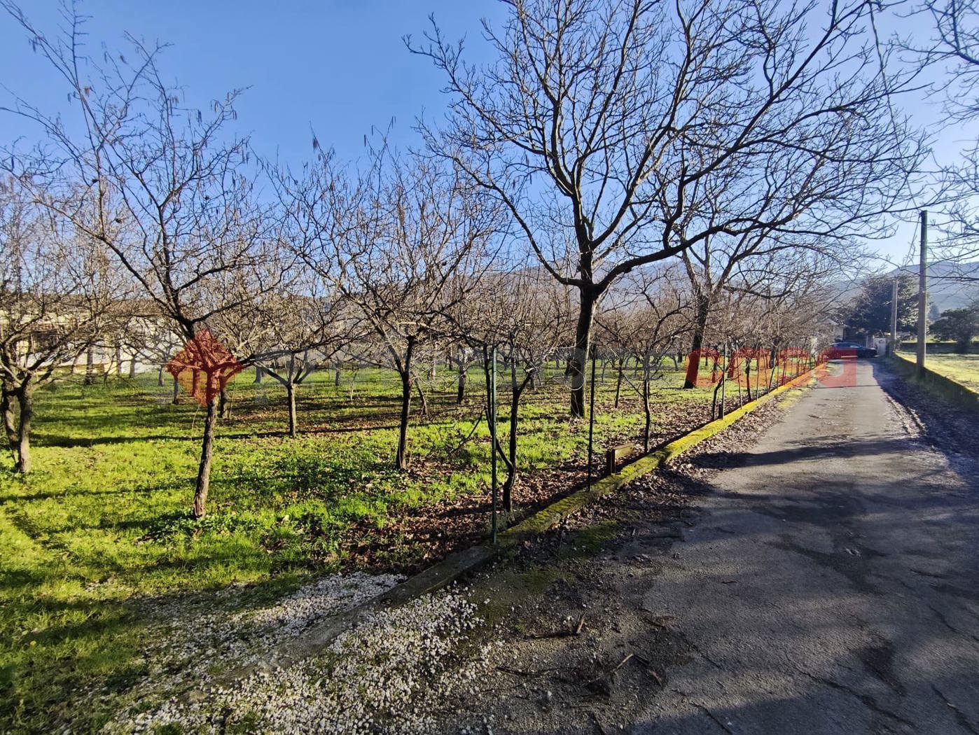 Terreno Agricolo in vendita a Mercato San Severino