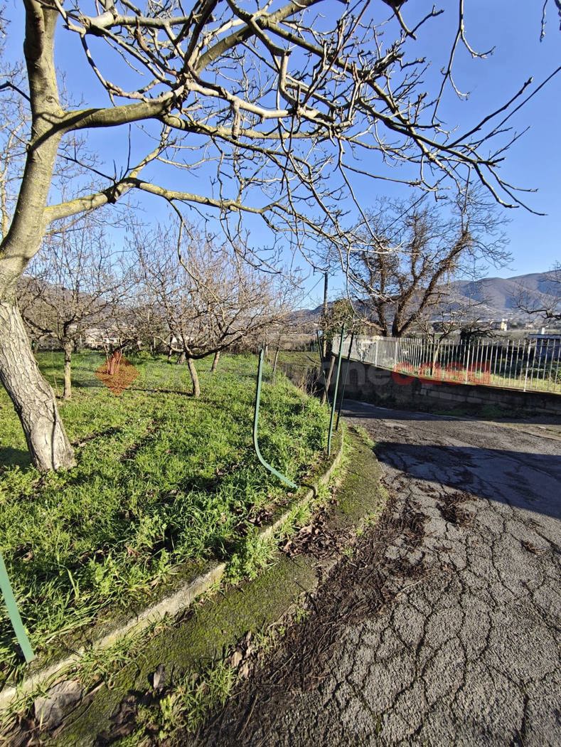 Terreno Agricolo in vendita a Mercato San Severino