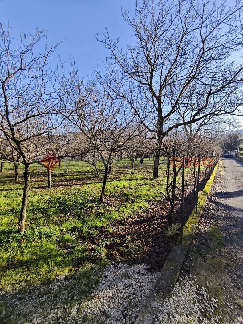 Terreno Agricolo in vendita a Mercato San Severino