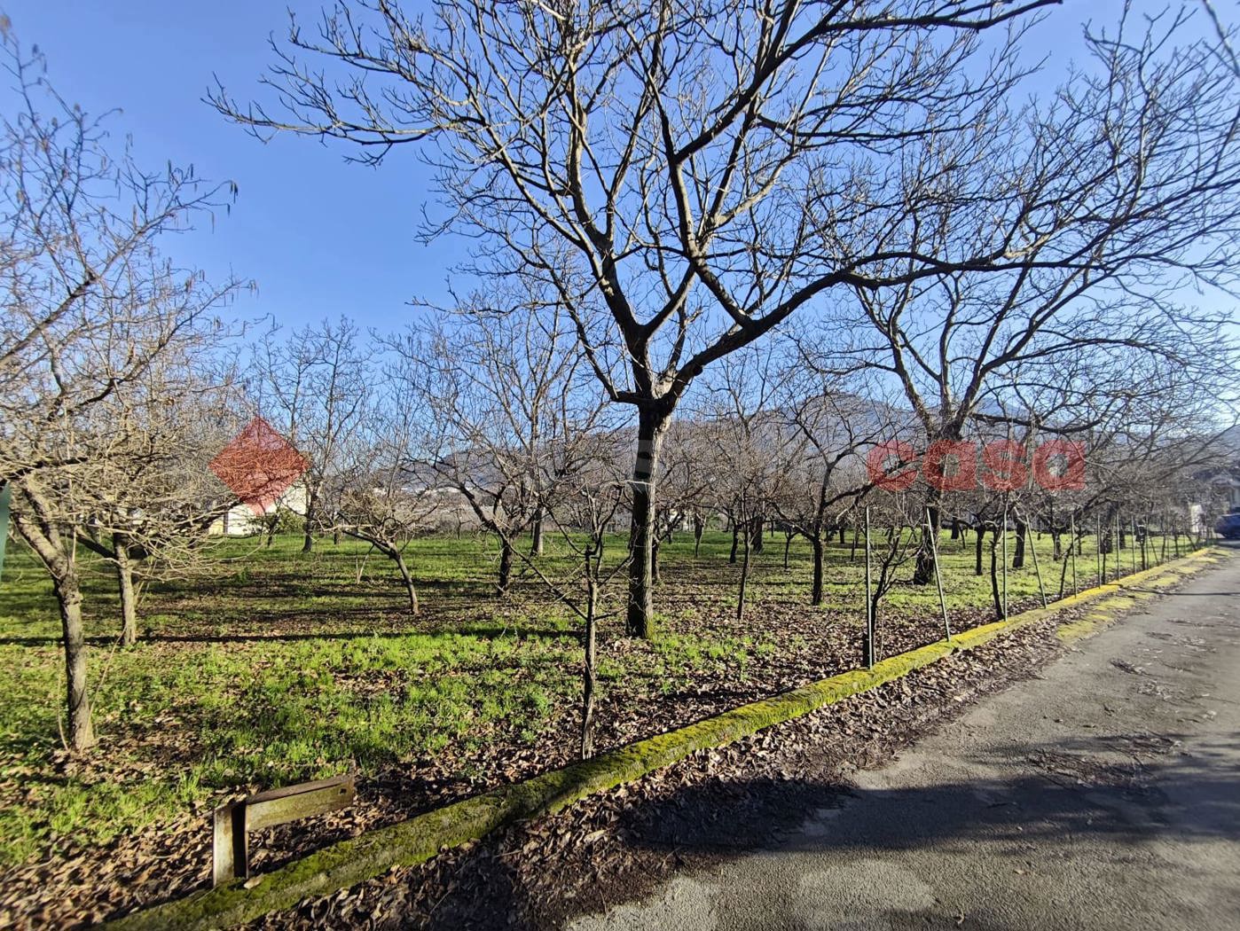 Terreno Agricolo in vendita a Mercato San Severino