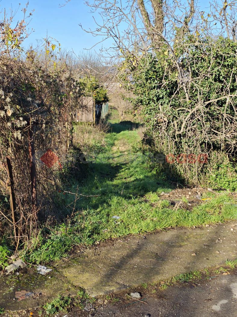 Terreno Agricolo in vendita a Mercato San Severino