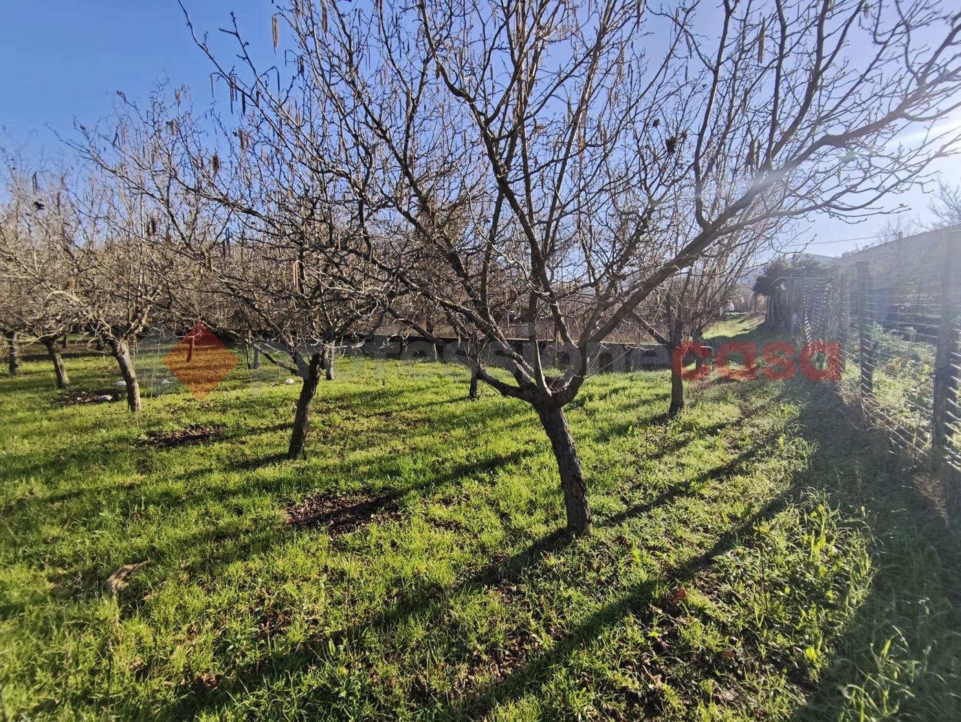 Terreno Agricolo in vendita a Mercato San Severino