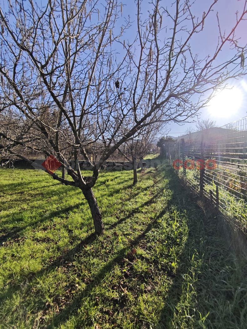 Terreno Agricolo in vendita a Mercato San Severino