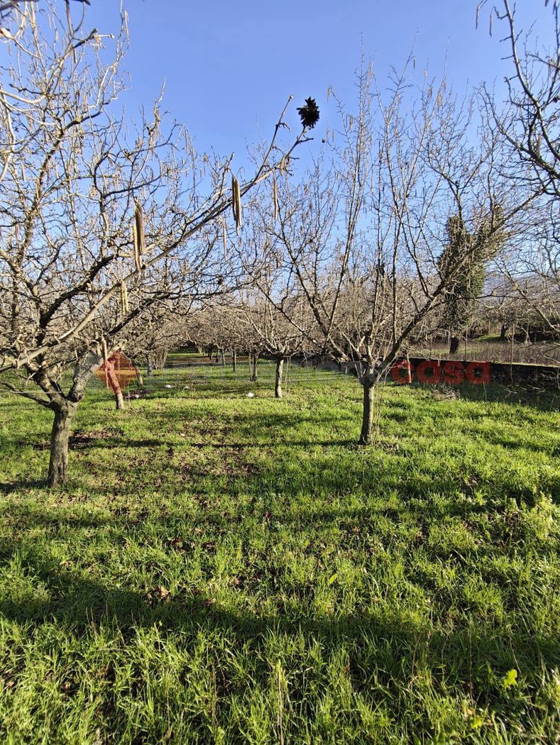 Terreno Agricolo in vendita a Mercato San Severino
